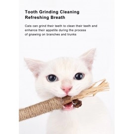 Cat Toys Silvervine Chew Stick Pet Snacks Sticks Natural Stuff with Catnip for Kitten Cats Cleaning Teeth Cat Accessories Katze