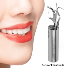 4Pcs/lot Stainless Steel Toothpick Set Tooth Flossing Reusable Toothpicks Portable Toothpick Floss Teeth Cleaner Oral Cleaning